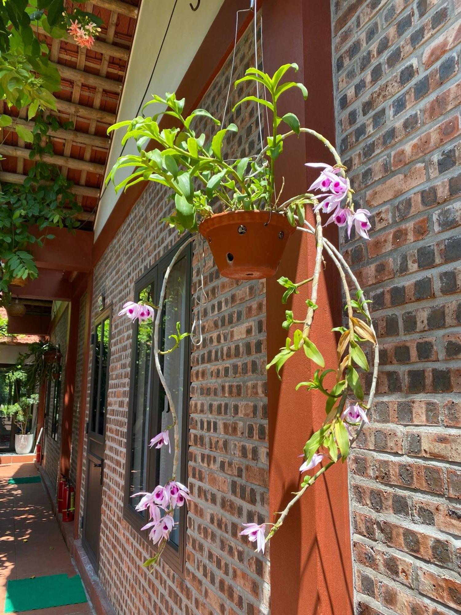 Thuy Xuyen Tam Coc Homestay Vu Lam Exterior foto